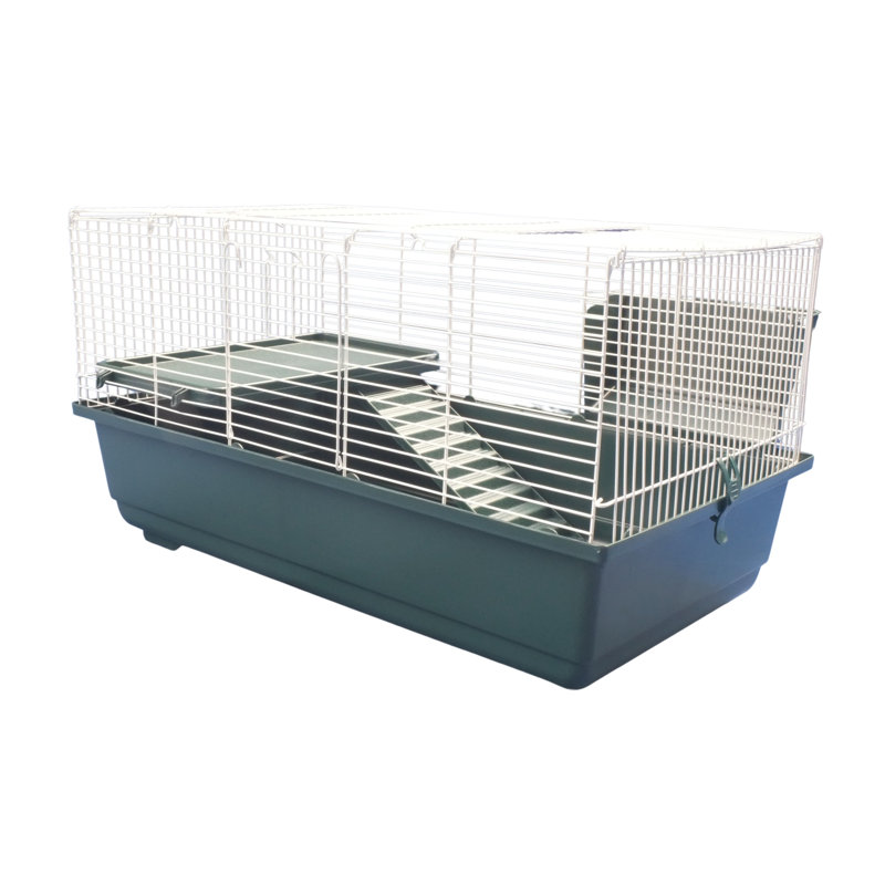 Cage pour petits animaux avec rampe