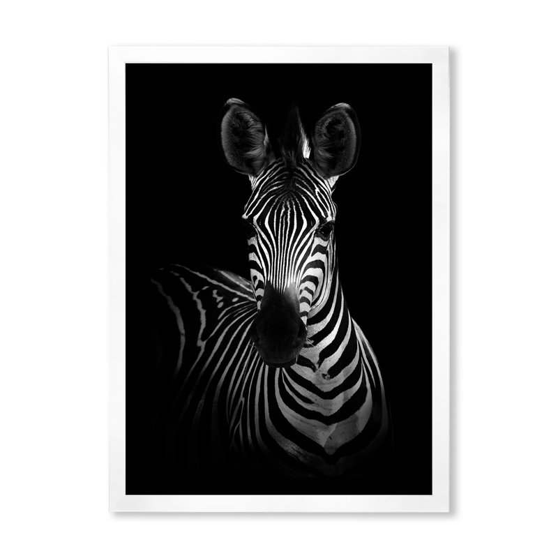 Zèbre en noir et blanc - reproduction d'art sur toile, H 20 po x l 12 po x P 1 po, Cadre photo blanc
