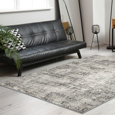Livigno 1241 Transitional Striated Gray Area Rug