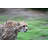 Cheetah Running - Wrapped Canvas Print-1324114794