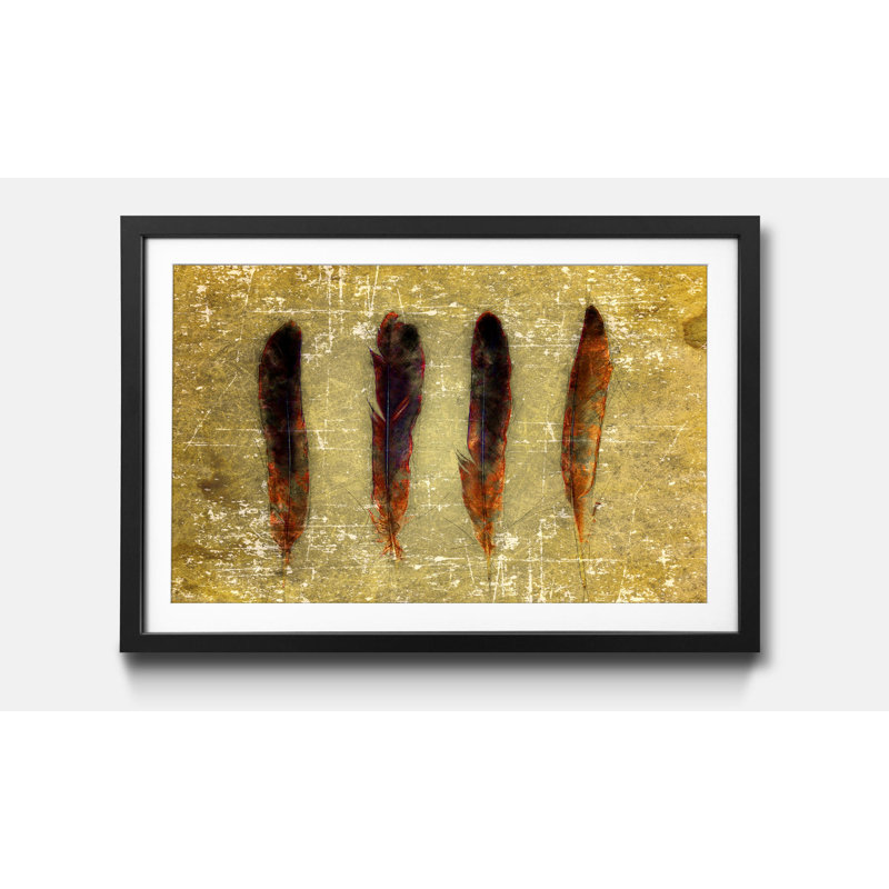 Four Feathers - Single Picture Frame Print, 60cm H x 80cm W