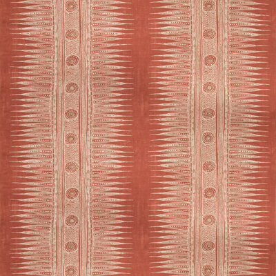 Indian Zag Fabric
