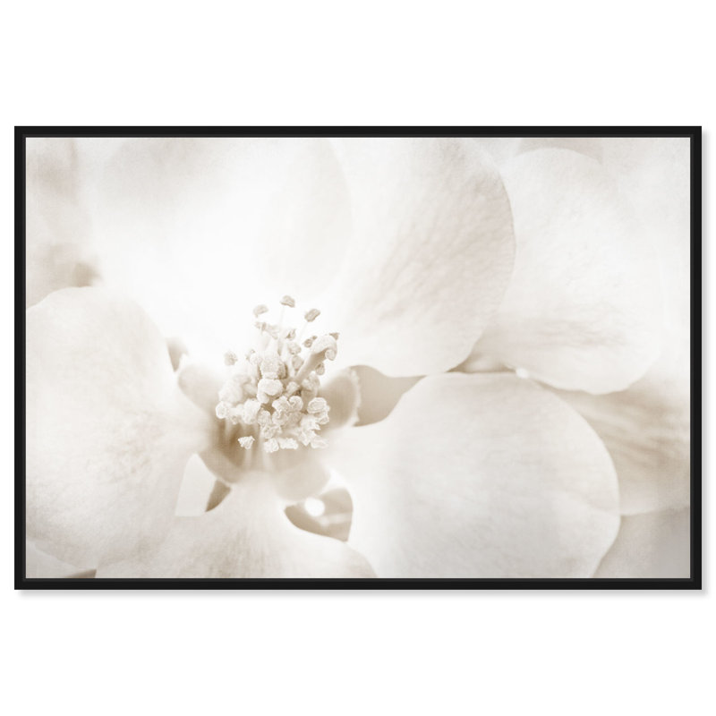 «Floral and Botanical Orchid Love», reproduction d'art graphique sur toile, H 20 po x l 30 po, Impression encadrée, Noir