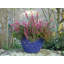 Vermehr Pot Planter-377209168-377209173