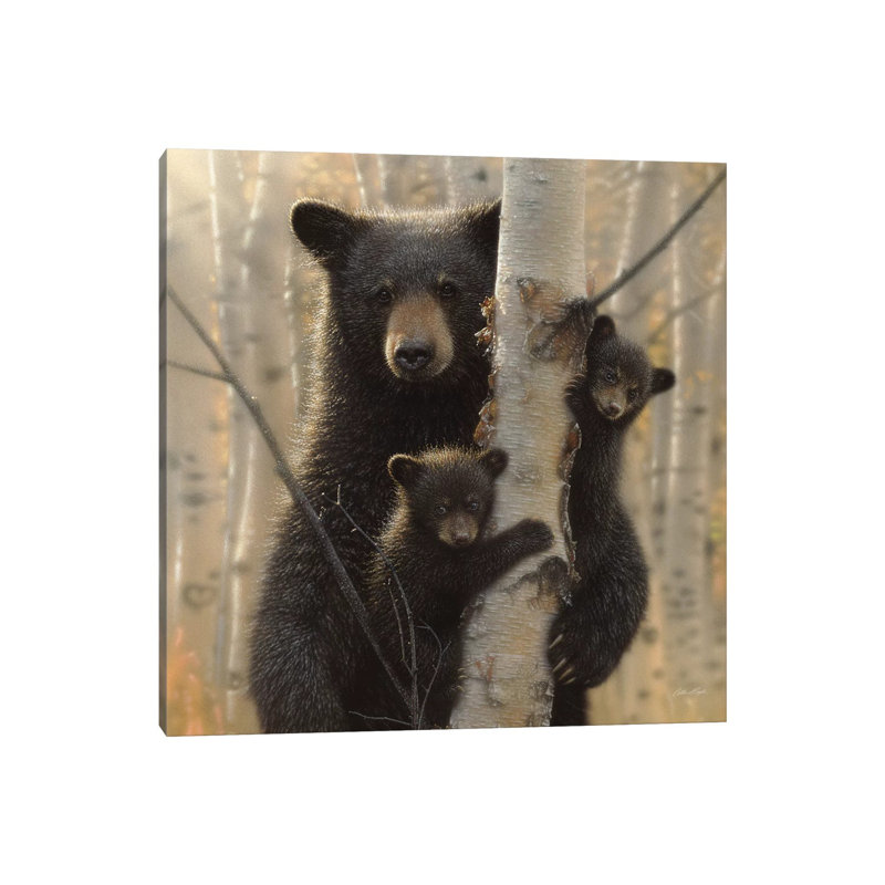 «Mama Black Bear» par Collin Bogle Print, Toile tendue, H 37 po x l 37 po x P 1,5 po