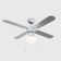 Edelina 102cm Ceiling Fan with Light Kit