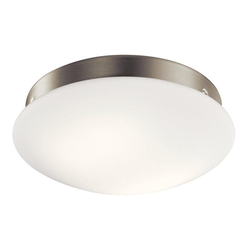 Ensemble d'éclairage pour bol de ventilateur de plafond 1 lumière DEL, Nickel brossé