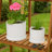 Elegant Outdoor Planters With Scallop Design And Saucer Plate - Garden And Indoor Planter Ideal For Flower Pots And Succulent - Set Of 2, 12",10", White