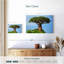 Baobab africain-1021795837