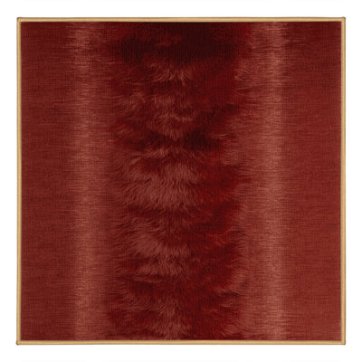 Machine Washable Solid Brown Area Rug