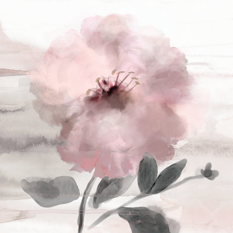 Fluffy Blush Bloom - Wrapped Canvas Painting, 51cm H x 51cm W x 3.8cm D