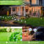 Éclairage solaire de jardin extérieur, 4 lumières solaires de pissenlit de jardin Kooper, lumières de piquet solaire, lumières de sentier solaires lumières extérieures imperméables, lumières solaires décoratives multicolores pour le jardin