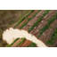 Achille Freestanding Hedgehog House