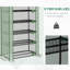 Belden 5-Tier Widened Mini Greenhouse With Steel Frame And PE Cover