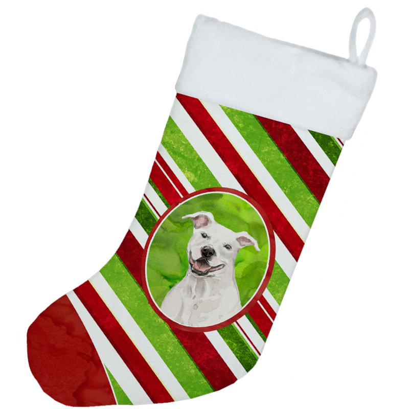 Chaussette de noël à rayures à sucre, Staffordshire bull terrier blanc