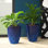 Handmade Pot Planter