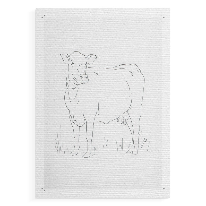 Bovin limousin II - impression sur toile seulement - non encadrée, H 60 po x l 40 po