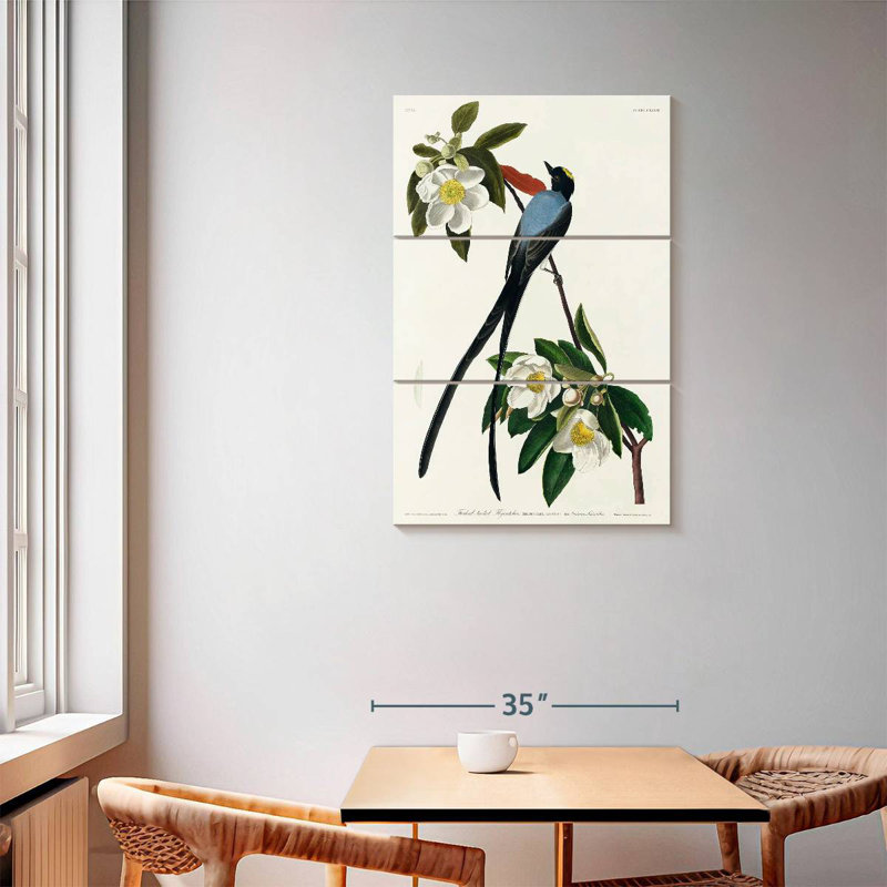 Fork-Tailed Flycatcher, 57" H x 36" W