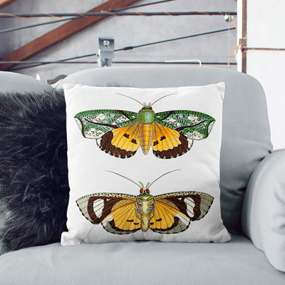 Square Throw Cushion