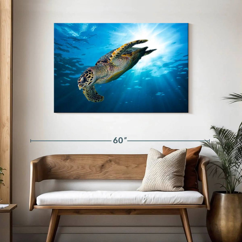 Brampt Hawksbill Turtle Dive, 30" H x 45" W