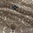 Navy Comforter - King With 18" X Pillow & Sham 2 Square 1