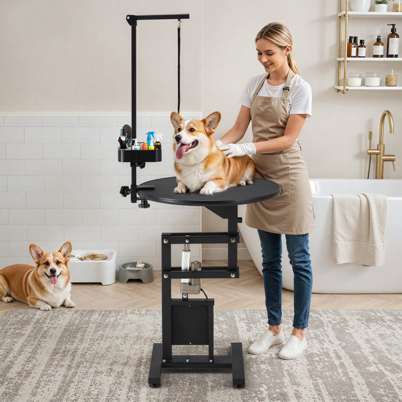 Portable Height Adjustable Pet Grooming Station With Foldable Arm