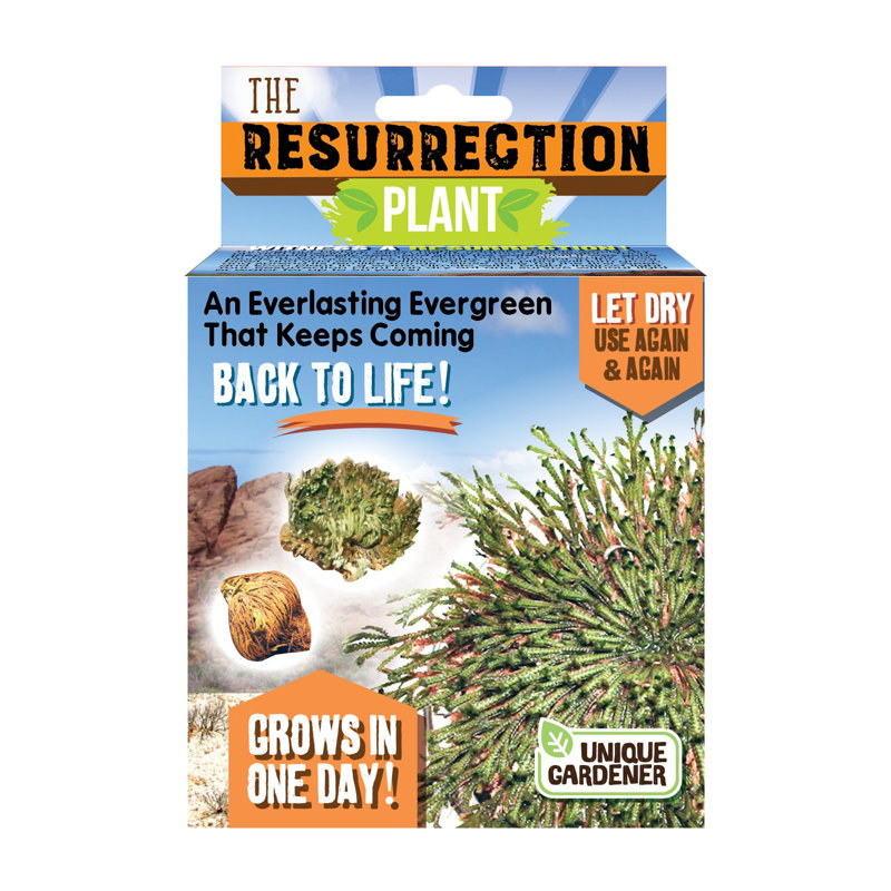 The Resurg Plant S.T.E.M. Jeu