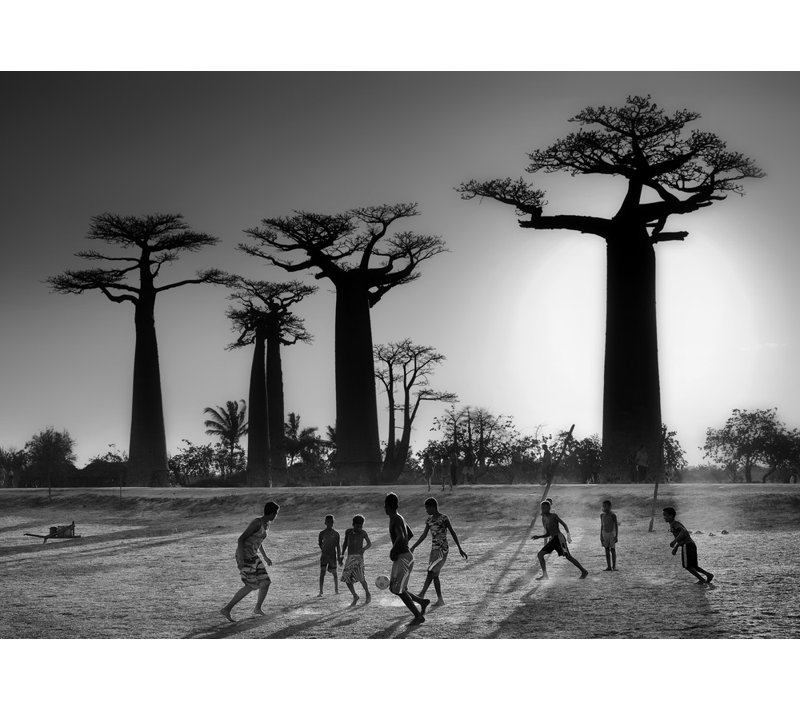 Wrapped Canvas Print, 60.96 cm H x 91.44 cm W