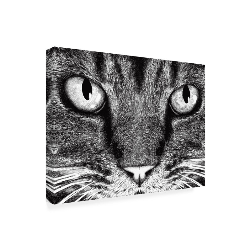 Le chat par Tummeow - peinture sur toile tendue, H 18 po x l 24 po x P 2 po