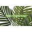 48 po Palmier Areca artificiel-1806458603