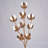21.6 " Cotton Arrangement