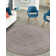 Judlaph Indoor Rug