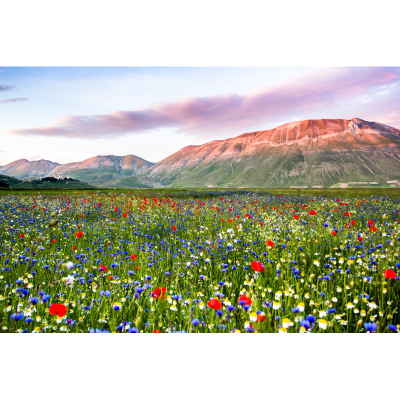Castelluccio Di Norcia by Francesco Ricca Iacomino - Wrapped Canvas Print, 81cm H x 122cm W x 3.8cm D