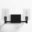 Haines 2 Light Transparent Dimmable Vanity Light-1146103921