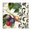 Sasha Les Fruits Jardin Iii Canvas Art-104105849