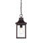 Lustre d'extérieur à 1 ampoule H 15,25 po Addleigh-1927048893
