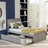 Platform Bed with  Trundle