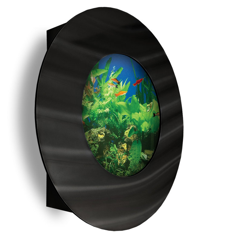 Aquarium rond 3 gallons Angelica, Noir brossé