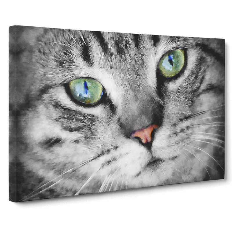 Portrait Of A Cat Vol.2 - Wrapped Canvas, 35cm H x 50cm W x 3cm D