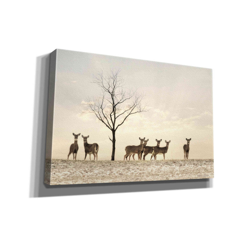 «Bathampton Doe A Deer On Canvas» par Lori Deiter, reproduction, H 12 po x l 18 po x P 0,75 po