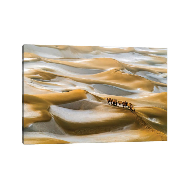 Desert Winter - Wrapped Canvas Painting, 20.32cm H x 30.48cm W x 1.905cm D