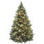 The Holiday Aisle® Carolina Pine Tree with Clear Lights-1245852289