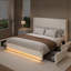 Structure de lit en velours avec 4 tiroirs de rangement-81967504-81967517