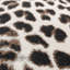 Anyssa Animal Print Area Rug-205803056