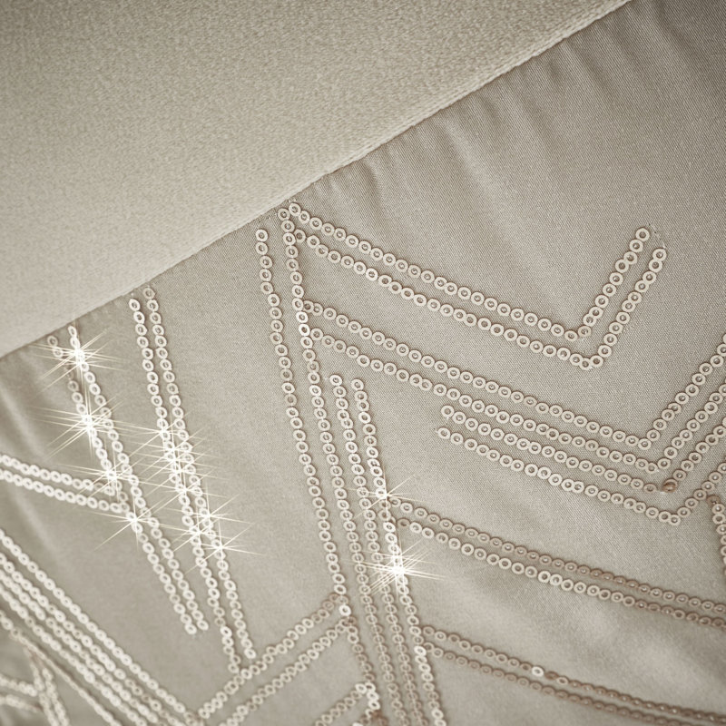 Velvet Sparkle Cushion