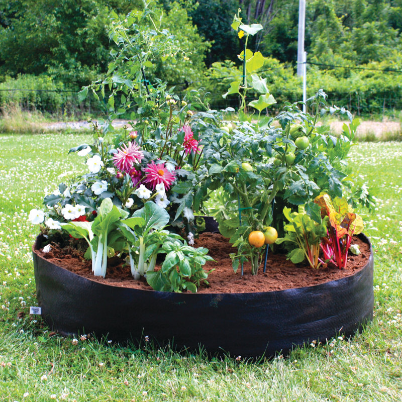 Raised Garden Bed
