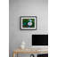 White Camellia Print by Tom Kostes