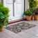 Machine Washable Indoor/Outdoor Segin ACN1218 Rug