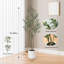 Pot à fleurs artificiel d'intérieur 6 pi Olive-129231077