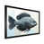 Black Single Picture Framed